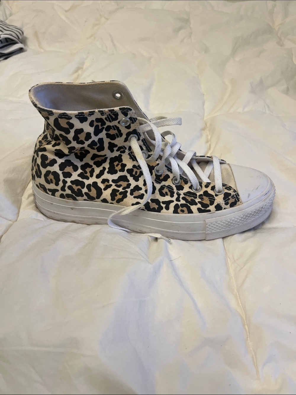 Converse High-Top Leopard Print Sneaker in White and Black